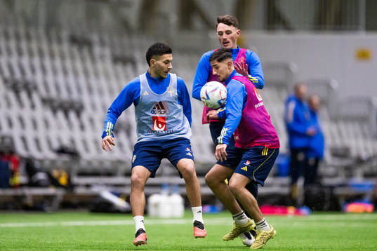 Roony Bardghji och Noah Persson