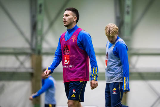 Roony Bardghji