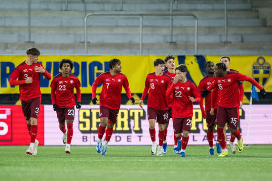 Schweiz spelare jublar
