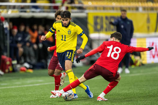 Sveriges Montader Madjed och Schweiz Sebastian Walker