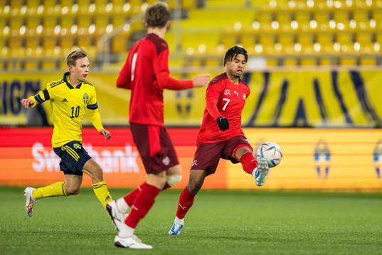 Sveriges Pontus Dahbo och Schweiz Malik Deme