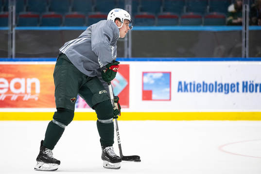 Joel Eriksson Ek of Minnesota Wild