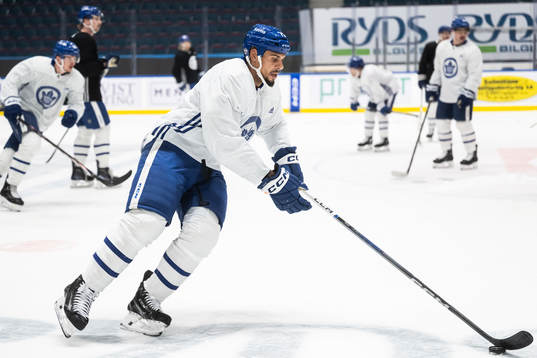 Ryan Reaves of Toronto Maple Leafs