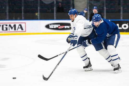 Ryan Reaves and John Tavares of Toronto Maple Leafs