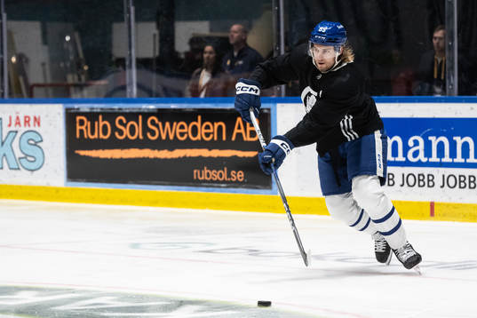 William Lagesson of Toronto Maple Leafs