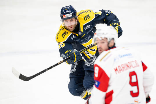 Södertäljes Sebastian Dyk