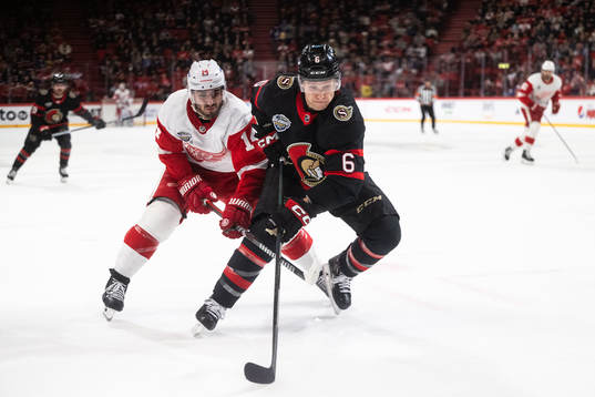 Robby Fabbri of Detroit Red Wings and Jakob Chychrun of