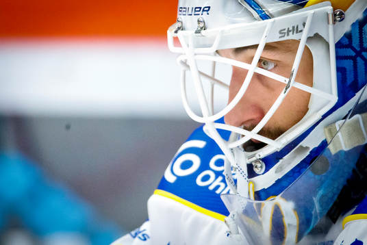 Leksands målvakt Mantas Armalis