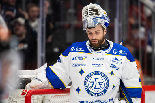 Leksands målvakt Mantas Armalis deppar
