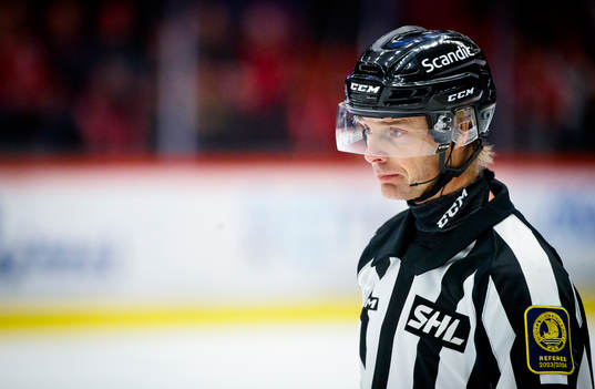 Domare Mikael Andersson