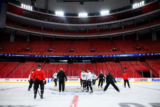 Players of Ottawa Senators