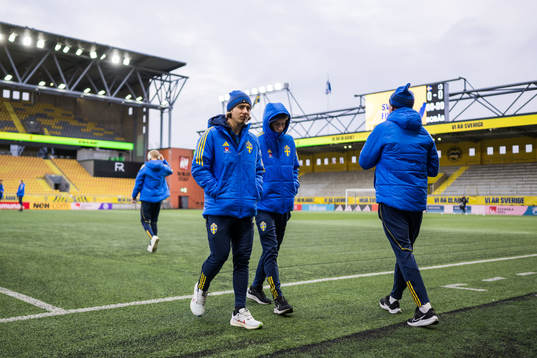Hugo Bolin and Sebastian Nanasi of Sweden of sverige
