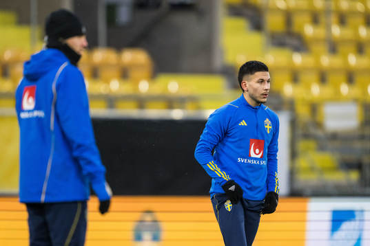 Roony Bardghji of Sweden
