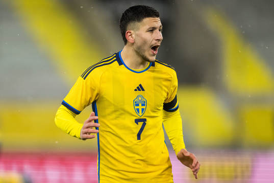 Roony Bardghji of Sweden