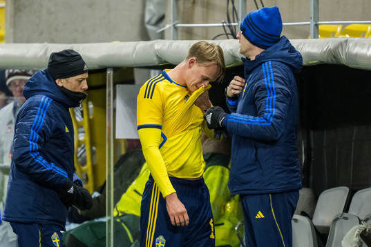 Oscar Wilhelmsson of Sweden leaves the pitch