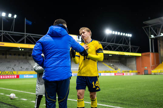 Roony Bardghji and Daniel Svensson of Sweden