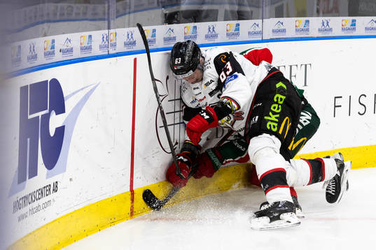 Malmö Redhawks Fredrik Händemark och Frölundas Erik Borg
