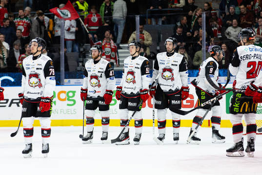 Malmö Redhawks spelare deppar