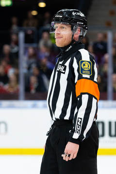Domare Mikael Holm