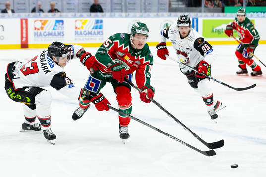 Malmö Redhawks Fredrik Händemark och Frölundas Gustav
