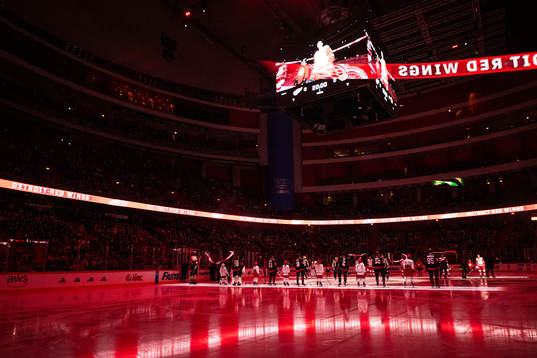 Players of Detroit Red Wings and Ottawa Senators