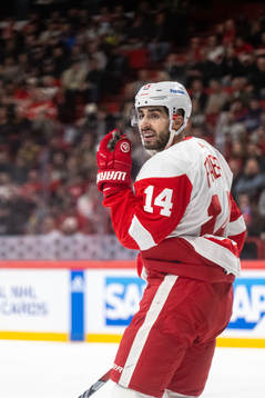 Robby Fabbri of Detroit Red Wings
