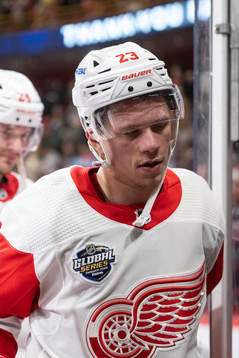 Lucas Raymond of Detroit Red Wings looks dejected