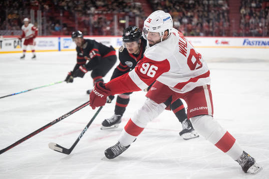 Jake Walman of Detroit Red Wings