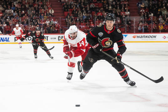 Robby Fabbri of Detroit Red Wings and Jakob Chychrun of