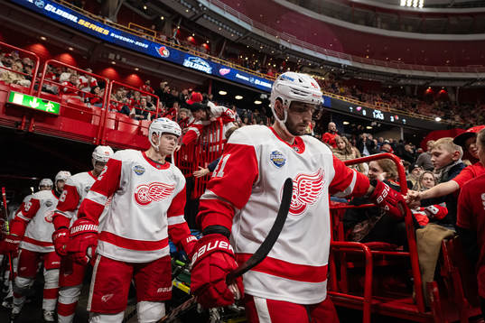 Shayne Gostisbehere of Detroit Red Wings