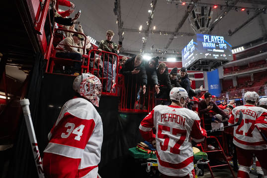 Goaltender Alex Lyon and David Perron of Detroit Red Wings