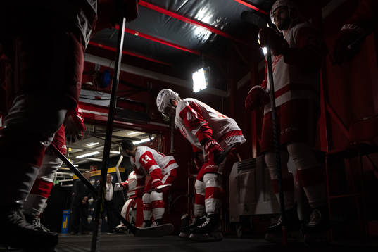 Players of Detroit Red Wings