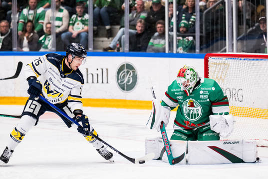 HV71s Radan Lenc och Rögles målvakt Petr Kvaca