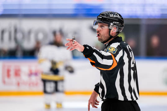 Domare Johan Magnusson