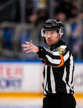 Domare Johan Magnusson