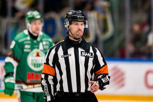 Domare Johan Magnusson