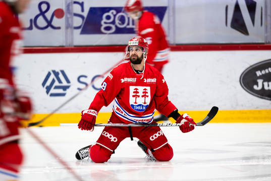 Timrås Robin Hanzl