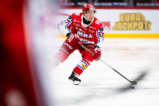 Timrås Anton Wedin