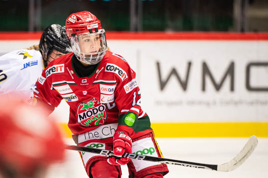 Modos Ebba Berglund