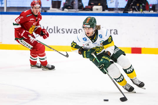 Björklövens Nicolai Meyer