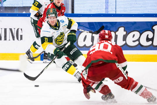 Björklövens Myles Powell