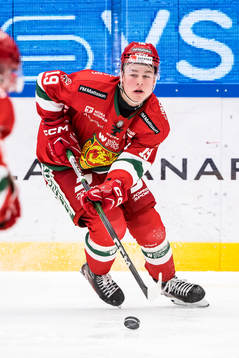 Moras Petter Vesterheim