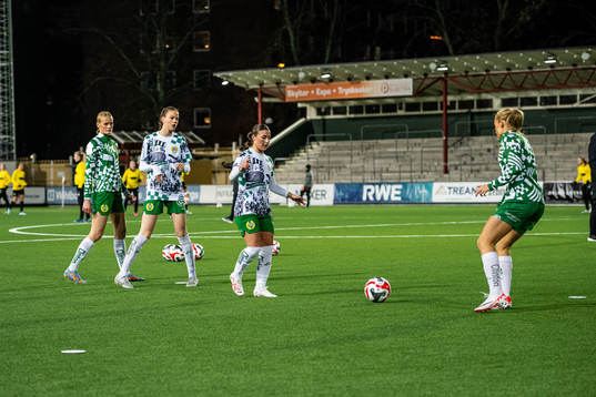 Hammarbys spelare