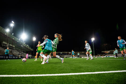 Hammarbys spelare