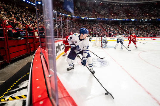 David Kampf of Toronto Maple Leafs