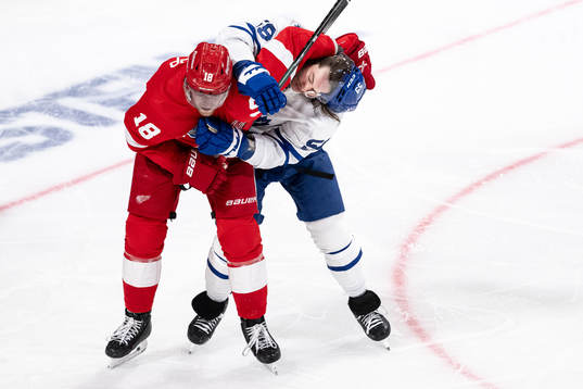 Andrew Copp of Detroit Red Wings and Tyler Bertuzzi of