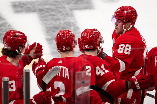 Daniel Sprong of Detroit Red Wings celebrates
