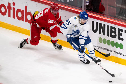 Daniel Sprong of Detroit Red Wings and William Lagesson of