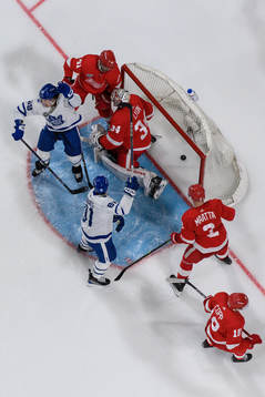 Tyler Bertuzzi of Toronto Maple Leafs celebrates