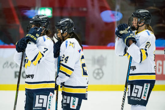 HV71s spelare deppar